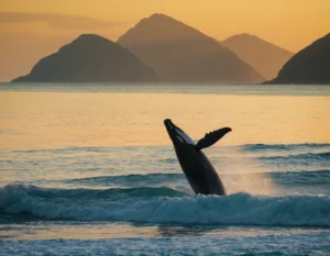 Conociendo a fondo la Ballena Azul