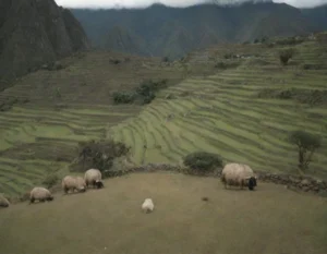 Explora las Maravillosas Regiones del Perú para quedar boquiabierto