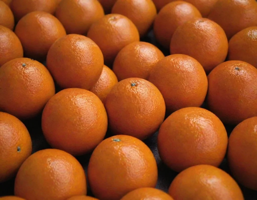 Que Aportan las Naranjas a tu Dieta del Dia a día