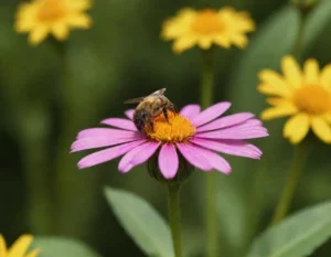 que significa soñar con abejas que te atacan