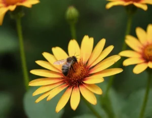 que significa soñar con abejas volando