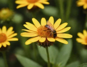 soñar con abejas en casa