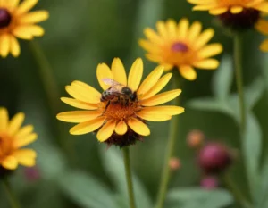 soñar con abejas en la cabeza