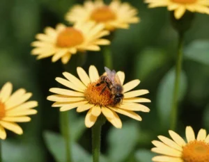 soñar con abejas que te persiguen y te pican