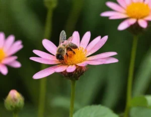 soñar con abejas volando sobre mi