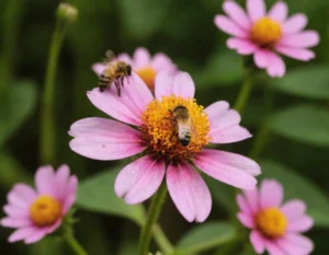 soñar con abejas y miel